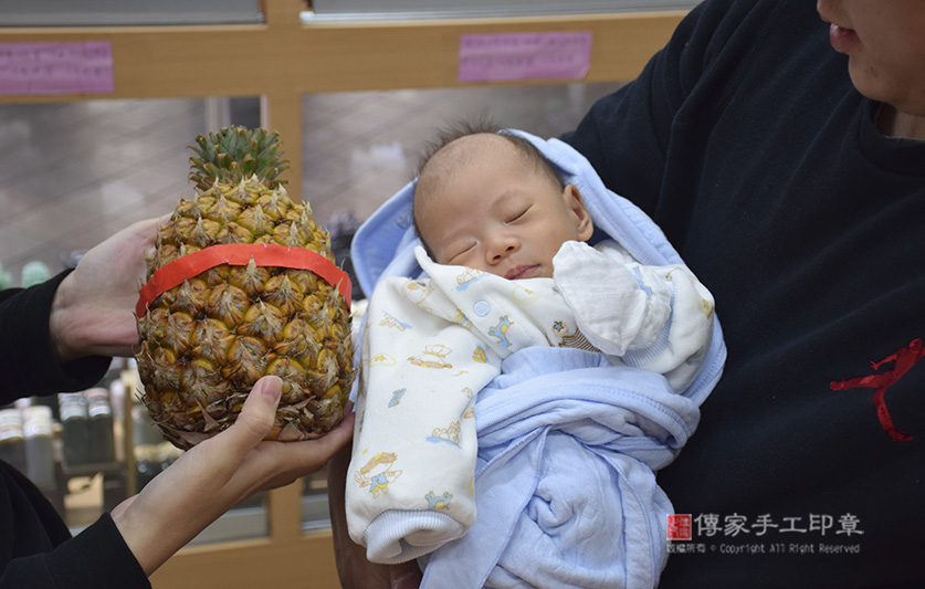 滿月剃頭，儀式:鳳梨「代表的含意：鳳梨就是旺旺來，象徵孩子一生好運旺旺來」