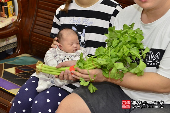 剃胎毛、滿月剃頭、嬰兒剃頭、嬰兒理髮、嬰兒剃髮、嬰兒剃胎毛、嬰兒滿月剃頭、寶寶剃頭、剃胎毛儀式、剃胎毛吉祥話、滿月剃頭儀式、滿月剃頭吉祥話、寶寶剃胎毛、寶寶滿月剃頭理髮、 桃園市桃園區剃胎毛、桃園市桃園區滿月剃頭、桃園市桃園區嬰兒剃頭剃胎毛、桃園市桃園區嬰兒理髮、桃園市嬰兒剃髮、 羅寶寶(桃園市桃園區到府嬰兒寶寶滿月剃頭理髮、到府嬰兒剃胎毛儀式吉祥話)。到府剃頭剃胎毛主持、專業拍照、DVD光碟、證書。★購買「臍帶章、肚臍章、胎毛筆刷印章」贈送：剃頭、收涎、抓周，三選一。2020.02.15照片21