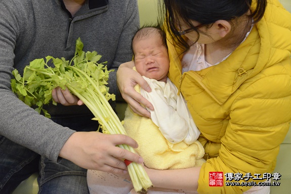 剃胎毛、滿月剃頭、嬰兒剃頭、嬰兒理髮、嬰兒剃髮、嬰兒剃胎毛、嬰兒滿月剃頭、寶寶剃頭、剃胎毛儀式、剃胎毛吉祥話、滿月剃頭儀式、滿月剃頭吉祥話、寶寶剃胎毛、寶寶滿月剃頭理髮、 台北市文山區剃胎毛、台北市文山區滿月剃頭、台北市文山區嬰兒剃頭剃胎毛、台北市文山區嬰兒理髮、台北市嬰兒剃髮、 王寶寶(台北市文山區到府嬰兒寶寶滿月剃頭理髮、到府嬰兒剃胎毛儀式吉祥話)。到府剃頭剃胎毛主持、專業拍照、DVD光碟、證書。★購買「臍帶章、肚臍章、胎毛筆刷印章」贈送：剃頭、收涎、抓周，三選一。2020.03.06照片20