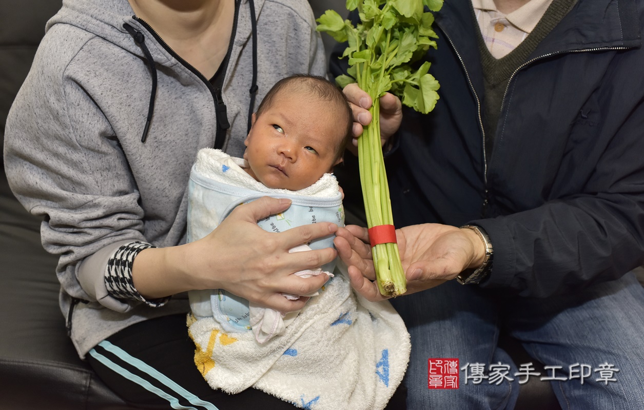 剃胎毛、滿月剃頭、嬰兒剃頭、嬰兒理髮、嬰兒剃髮、嬰兒剃胎毛、嬰兒滿月剃頭、寶寶剃頭、剃胎毛儀式、剃胎毛吉祥話、滿月剃頭儀式、滿月剃頭吉祥話、寶寶剃胎毛、寶寶滿月剃頭理髮、 新北市板橋區剃胎毛、新北市板橋區滿月剃頭、新北市板橋區嬰兒剃頭剃胎毛、新北市板橋區嬰兒理髮、新北市嬰兒剃髮、 游寶寶(新北市板橋區到府嬰兒寶寶滿月剃頭理髮、到府嬰兒剃胎毛儀式吉祥話)。到府剃頭剃胎毛主持、專業拍照、DVD光碟、證書。★購買「臍帶章、肚臍章、胎毛筆刷印章」贈送：剃頭、收涎、抓周，三選一。2021.01.20照片21