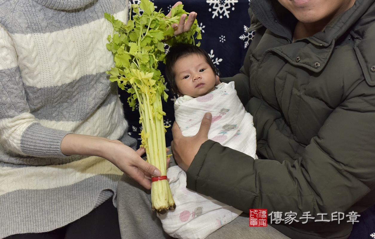 剃胎毛、滿月剃頭、嬰兒剃頭、嬰兒理髮、嬰兒剃髮、嬰兒剃胎毛、嬰兒滿月剃頭、寶寶剃頭、剃胎毛儀式、剃胎毛吉祥話、滿月剃頭儀式、滿月剃頭吉祥話、寶寶剃胎毛、寶寶滿月剃頭理髮、 桃園市觀音區剃胎毛、桃園市觀音區滿月剃頭、桃園市觀音區嬰兒剃頭剃胎毛、桃園市觀音區嬰兒理髮、桃園市嬰兒剃髮、 劉寶寶(桃園市觀音區到府嬰兒寶寶滿月剃頭理髮、到府嬰兒剃胎毛儀式吉祥話)。到府剃頭剃胎毛主持、專業拍照、DVD光碟、證書。★購買「臍帶章、肚臍章、胎毛筆刷印章」贈送：剃頭、收涎、抓周，三選一。2021.02.01照片19