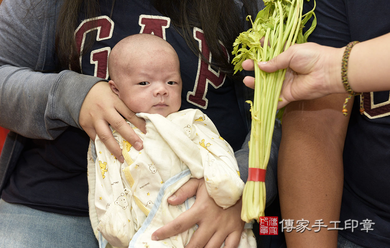 為寶寶準備芹菜。  芹菜一小把。「代表的含意：勤勞、積極、努力向上」。  讓寶寶做事積極，長大要幫爸爸媽媽分擔家事，分擔家計喔～～