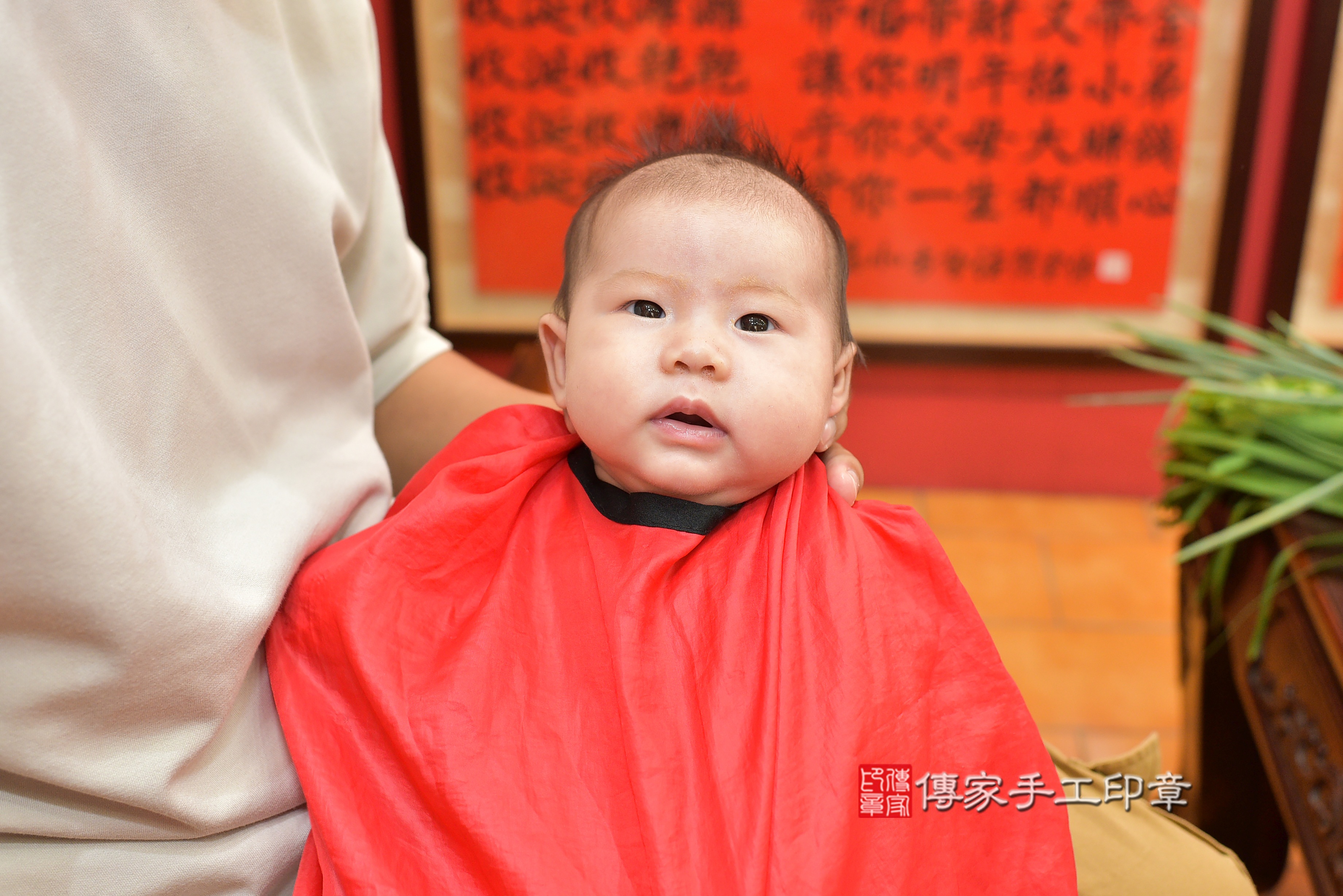 許寶寶(桃園市八德區來店嬰兒許寶寶滿月剃頭理髮、來店嬰兒剃胎毛儀式吉祥話)。來店剃頭剃胎毛主持、專業拍照、DVD光碟、證書。★購買「臍帶章、肚臍章、胎毛筆刷印章」贈送：剃頭、收涎、抓周，三選一。2023.09.10