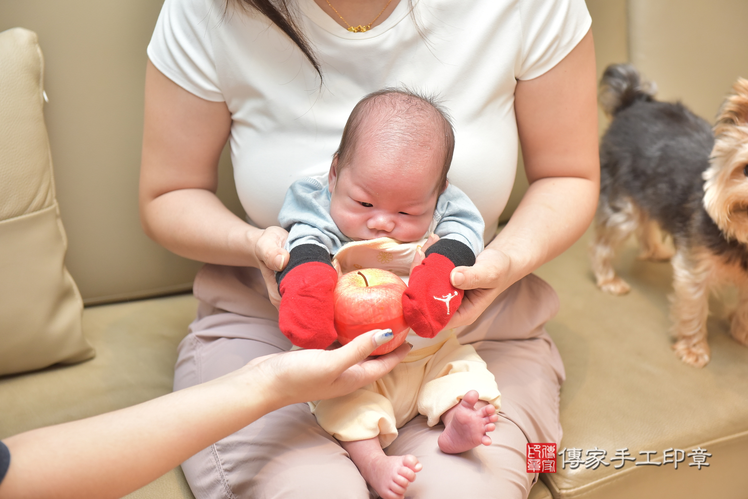 揚揚寶寶(台中市北屯區到府嬰兒揚揚寶寶滿月剃頭理髮、到府嬰兒剃胎毛儀式吉祥話)。到府剃頭剃胎毛主持、專業拍照、證書。★購買「臍帶章、肚臍章、胎毛筆刷印章」贈送：剃頭、收涎、抓周，三選一。2024.6.24，照片15